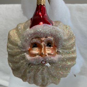 Christopher Radko Winter Wind Christmas Ornament